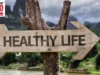 How To Lead A Healthy Corporate Lifestyle industry4o.com