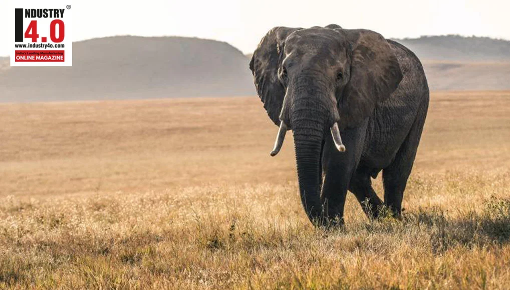 Cognitive Framework for Wildlife Monitoring and Management