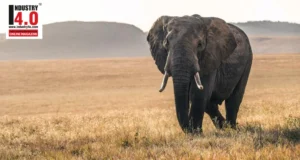 Cognitive Framework for Wildlife Monitoring and Management Cognitive Framework for Wildlife Monitoring and Management