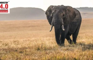 Cognitive Framework for Wildlife Monitoring and Management Cognitive Framework for Wildlife Monitoring and Management