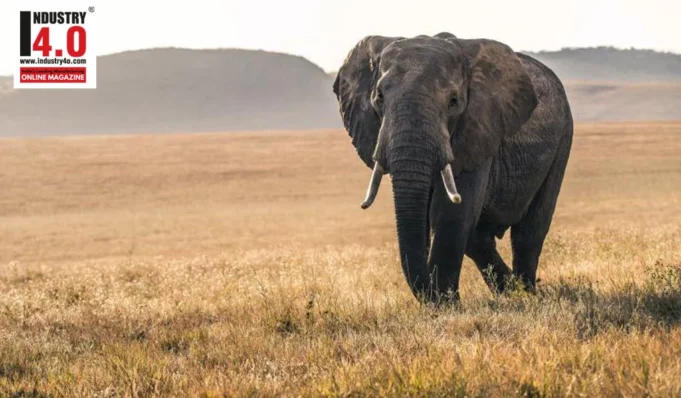 Cognitive Framework for Wildlife Monitoring and Management Cognitive Framework for Wildlife Monitoring and Management