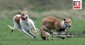 GenAI – A Case of Running with the Hare and Hunting with the Hounds? GenAI