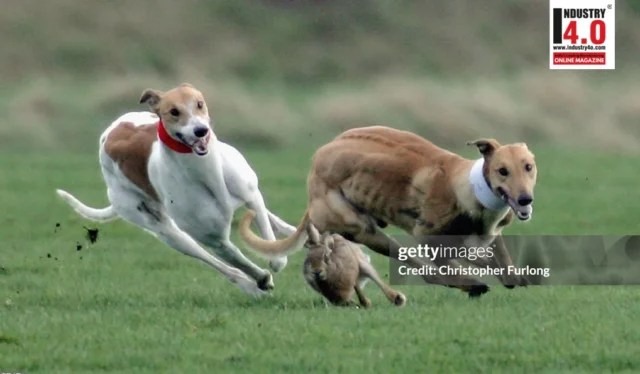 GenAI – A Case of Running with the Hare and Hunting with the Hounds? GenAI